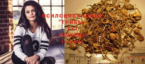 трава Нягань