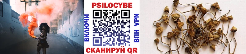 ссылка на мегу tor  Бахчисарай  Галлюциногенные грибы Psilocybe 
