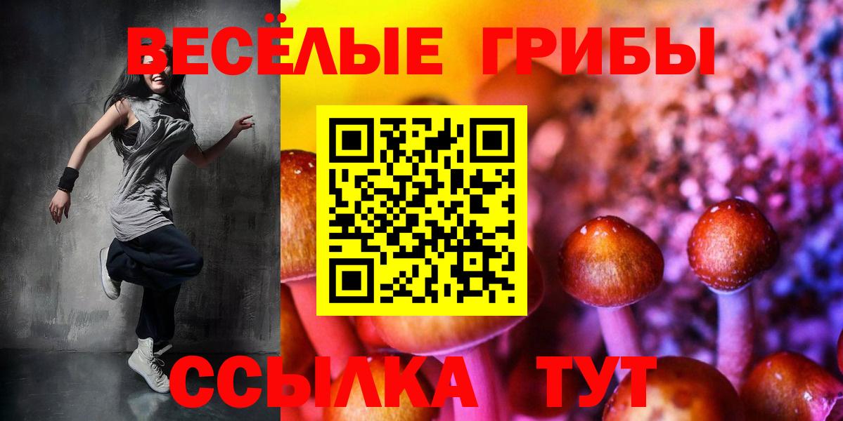 Бахчисарай  Псилоцибиновые грибы Psilocybe  Вход с VPN 