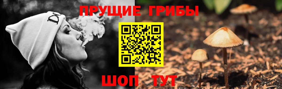 Галлюциногенные грибы прущие грибы Бахчисарай